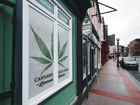 A shop window with a large cannabis leaf and the words Cannabis, licensed, on a street of storefronts