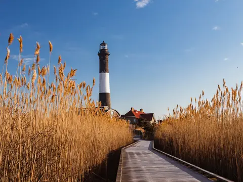 A wooden boardwalk through tall reeds leading to the black and white Fire Island Lighthouse on Long Island