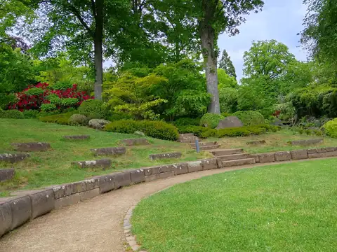 A sloping garden with a curved lawn, a low stone edge and beds of flowering shrubs