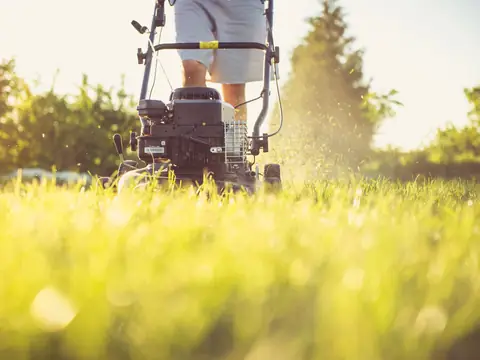 A lawn mower being pushed across long sunlit grass, seen from ground level