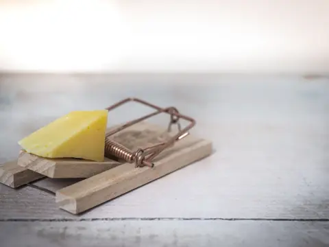 A wooden mousetrap set with a piece of cheese on a pale wooden surface