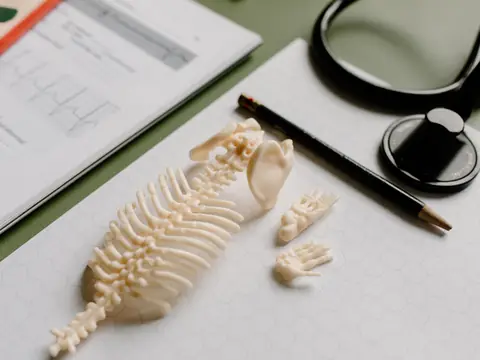 A small model of a spine on a desk beside a stethoscope, a pencil and printed charts