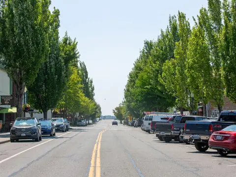A wide small-town main street lined with tall trees, parked cars and shopfronts