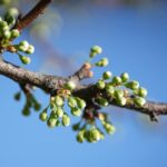 Why Nyc Businesses Need an Seo Agency for Spring Growth SEO Agency NYC